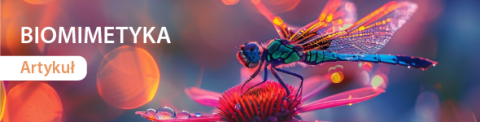 Biomimetyka - niecodzienny sposób na rozwój nowych technologii 