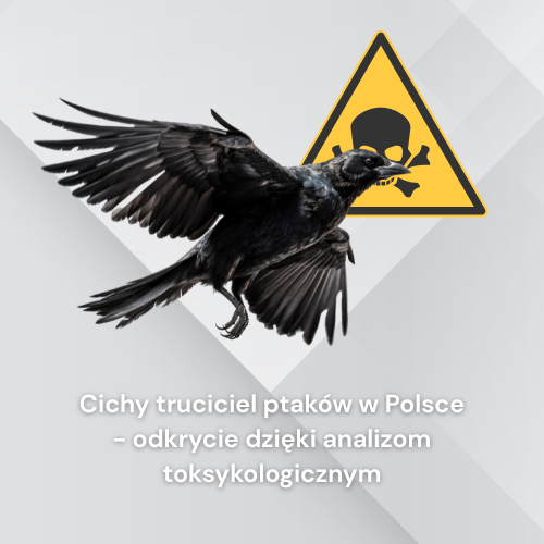 Banner Cichy truciciel ptaków w&nbsp;Polsce