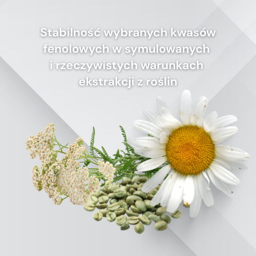 Badanie stabilności wybranych kwasów fenolowych